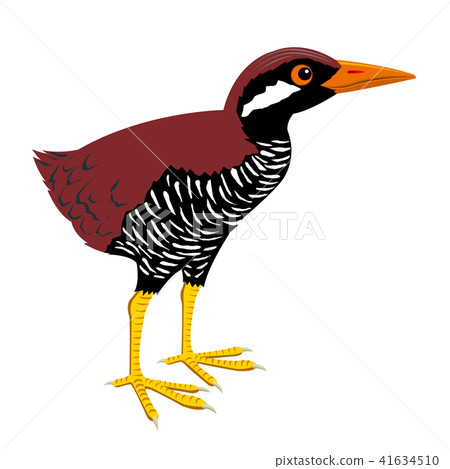 沖繩鐵路 41634510