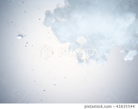 Water and powder Water and powder 41635544