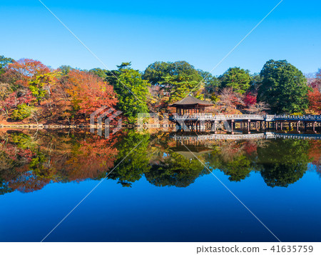 秋葉小屋 41635759