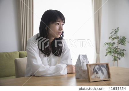 寵物流失 41635854