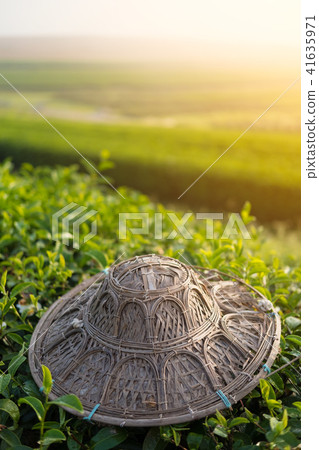 Weaved hat in tea plantation 41635971