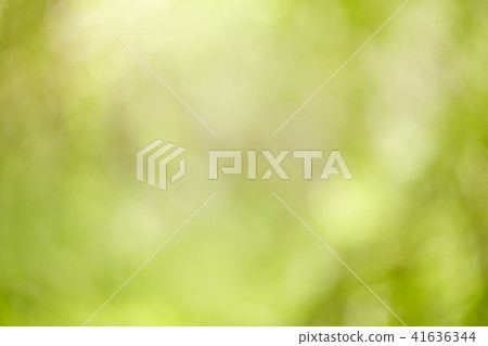 green bokeh abstract light Background green bokeh abstract light Background 41636344