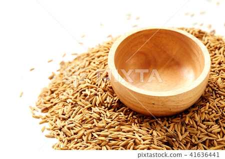 Brown paddy rice closed up 41636441