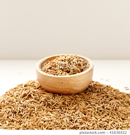 Brown paddy rice closed up 41636832