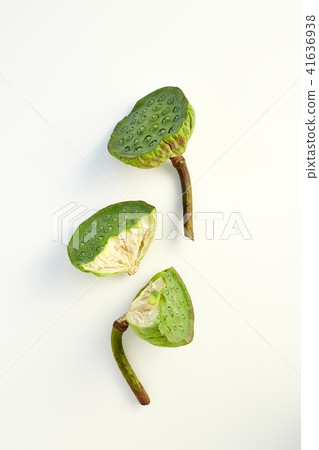 lotus seed close up 41636938