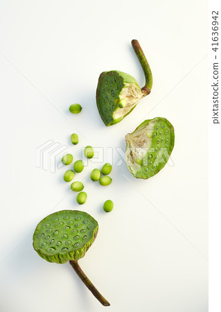 lotus seed close up 41636942