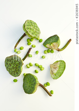 lotus seed close up 41636945