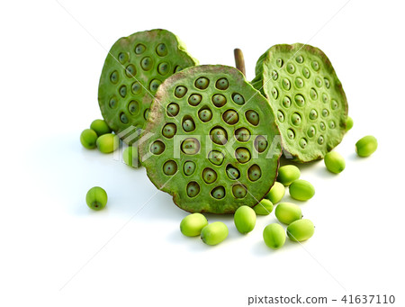 lotus seed close up 41637110