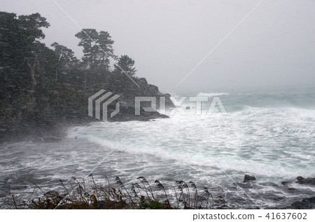 Sea of Japan Sea 41637602