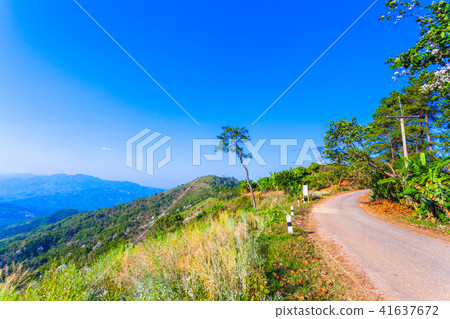 beside the way on Doi Pha Mee Chiang Rai 41637672