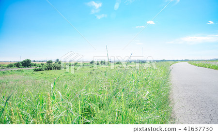Blue sky and river bed 41637730