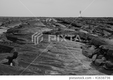 Aoshima Coast and its wavy rock formations 40 41638736