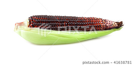 Isolated sweet corn. sweet purple corn with leaves Isolated sweet corn. sweet purple corn with leaves 41638781