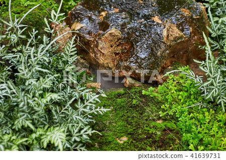 Green lawn in a colorful landscaped formal garden 41639731