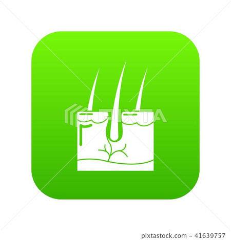Hair skin icon green vector 41639757