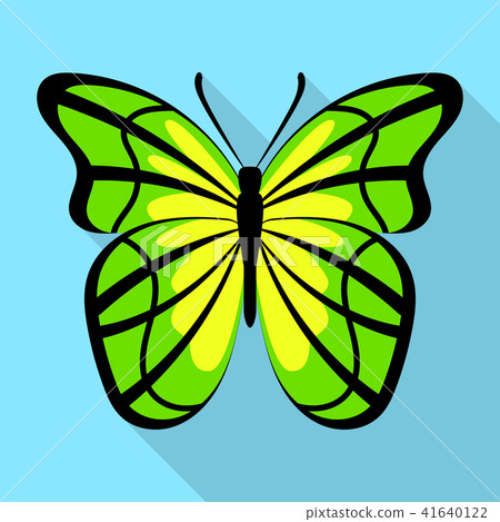 Yellow green butterfly icon, flat style Yellow green butterfly icon, flat style 41640122