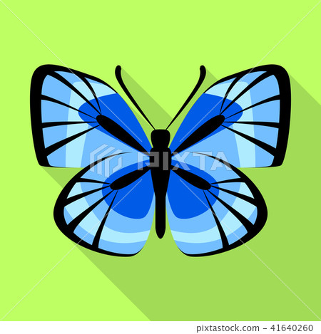 Blue butterfly icon, flat style 41640260
