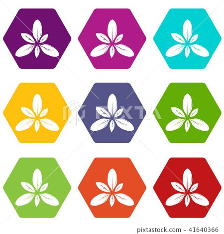 Leaf icons set 9 vector Leaf icons set 9 vector 41640366