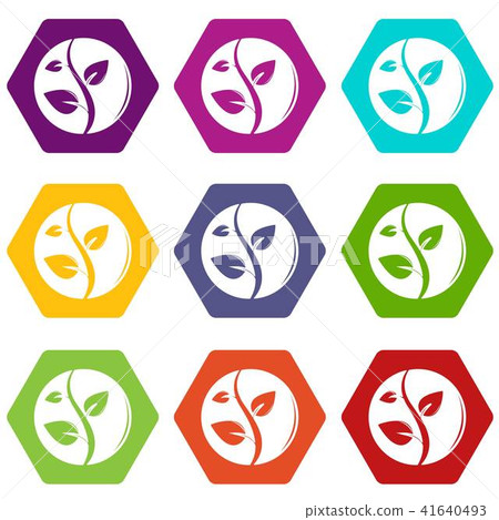 Sprout icons set 9 vector Sprout icons set 9 vector 41640493