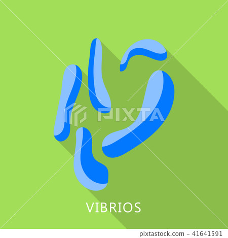 Vibrios icon, flat style Vibrios icon, flat style 41641591
