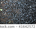 Beetle droppings 41642572