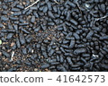 Beetle droppings 41642573