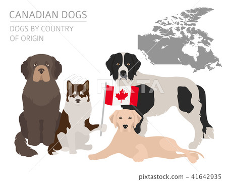 Dogs by country of origin. Canadian dog breeds 41642935