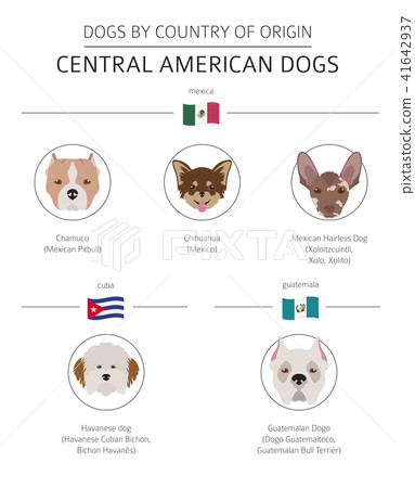 Dogs by country of origin. Latin american dogs Dogs by country of origin. Latin american dogs 41642937
