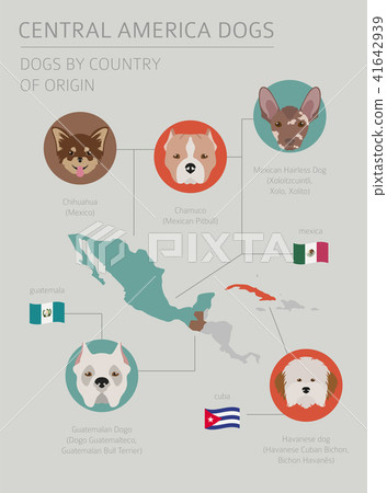 Dogs by country of origin. Latin american dogs Dogs by country of origin. Latin american dogs 41642939