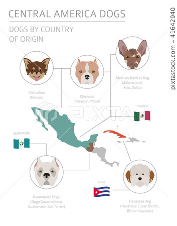 can a dogo guatemalteco live in new zealand