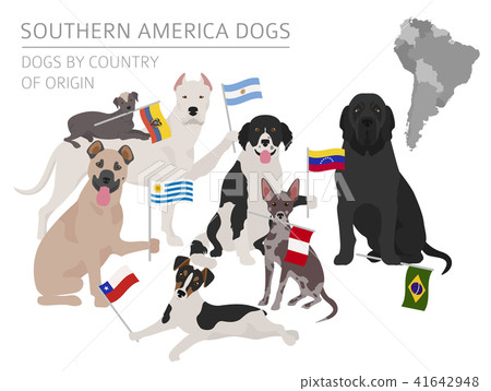 Dogs by country of origin. Latin american dogs Dogs by country of origin. Latin american dogs 41642948