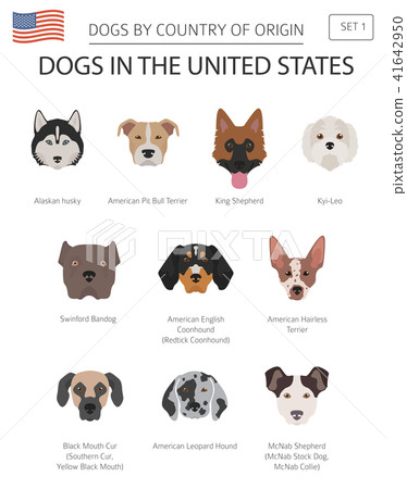 Dogs in the United States. American dog breeds 41642950