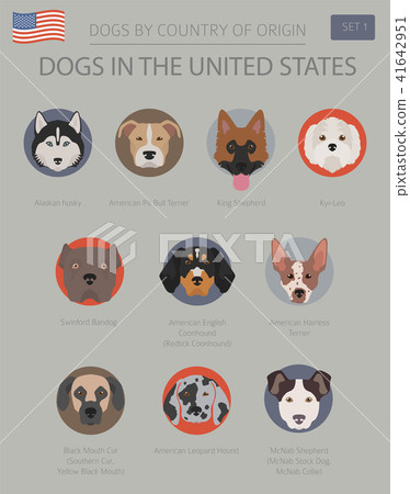 Dogs in the United States. American dog breeds 41642951