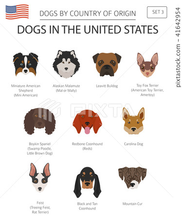 Dogs in the United States. American dog breeds 41642954