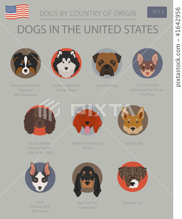 Dogs in the United States. American dog breeds 41642956