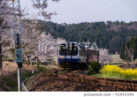 Spring on the Noto Railway Spring on the Noto Railway 41643348