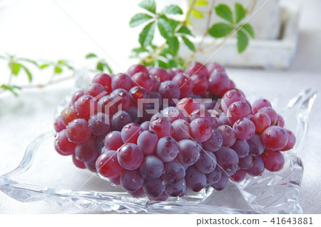 Delaware seedless grapes 41643881
