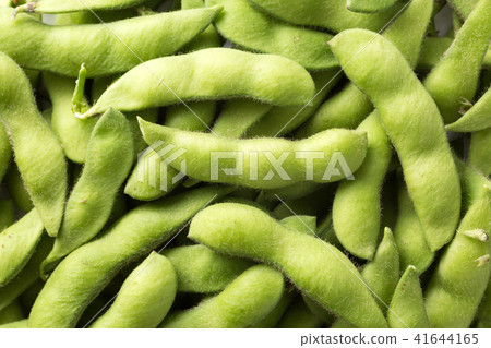 毛豆 毛豆 41644165