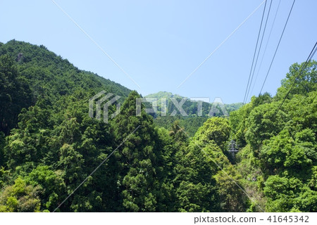 新鮮綠色的大和胜山(2018年5月) 新鮮綠色的大和胜山(2018年5月) 41645342