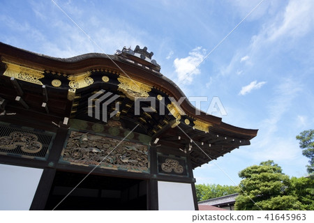 Nijo城堡的Karumon Nijo城堡的Karumon 41645963