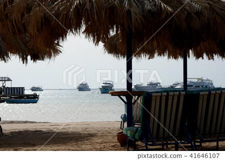Beach umbrella, seascape 41646107