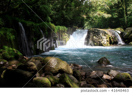 初夏的菊池谷（Kikuchi Valley）涼爽的水流和綠色的治療森林 41648463