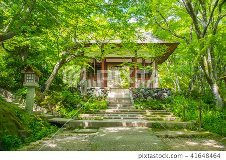 京都·佐賀嵐山初夏Jogakkoji寺 41648464