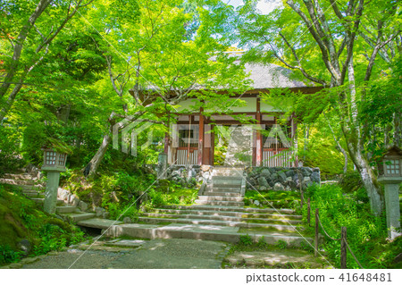 Kyoto · Saga Arashiyama early summer Jogakkoji temple 41648481