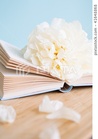 Peony flower and book on blue background Peony flower and book on blue background 41648868
