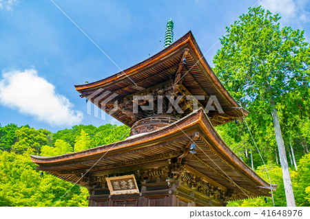 Kyoto Kannonkoji Temple of early summer 41648976