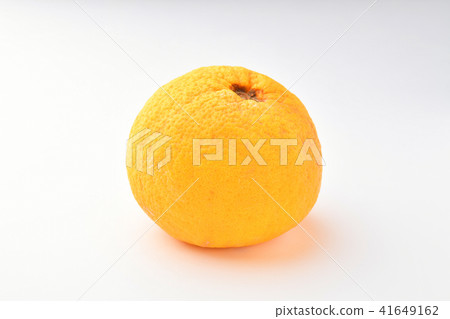 夏天普通話甜蜜的夏天 41649162