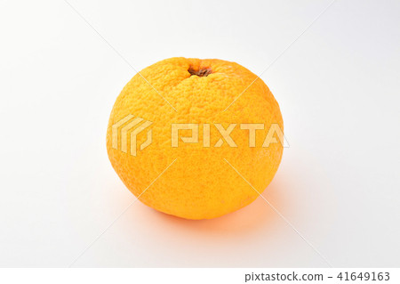 夏天普通話甜蜜的夏天 41649163