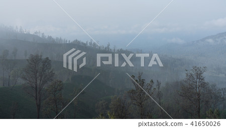Air pollution, smog over forests near kawah Ijen 41650026