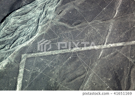 ancient figure of a whale in Nazca desert ancient figure of a whale in Nazca desert 41651169
